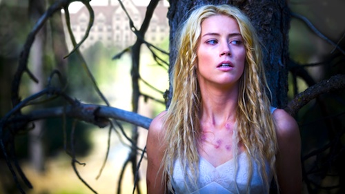 amberheard