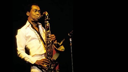 FindingFela2